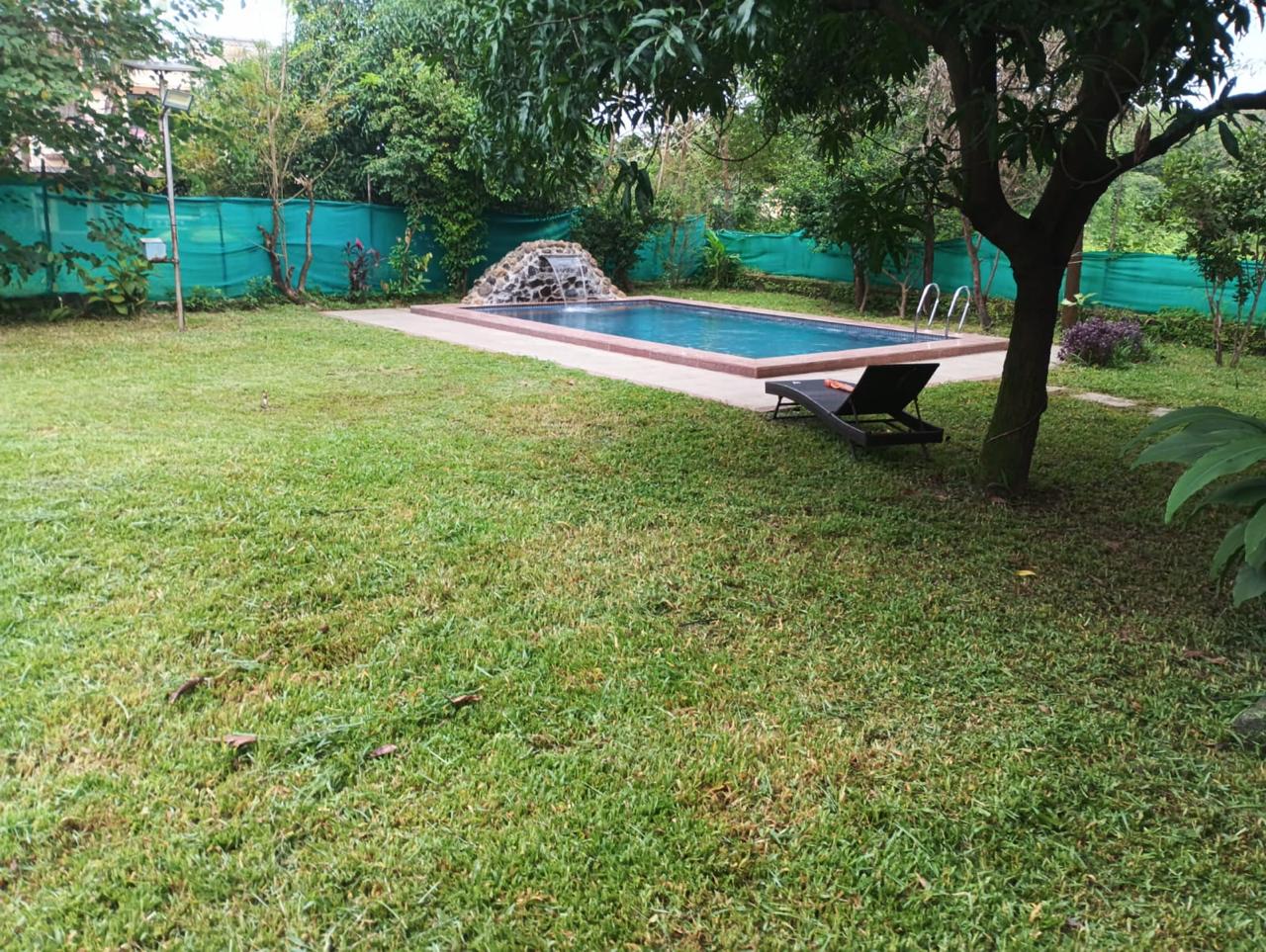 Forest Villa 